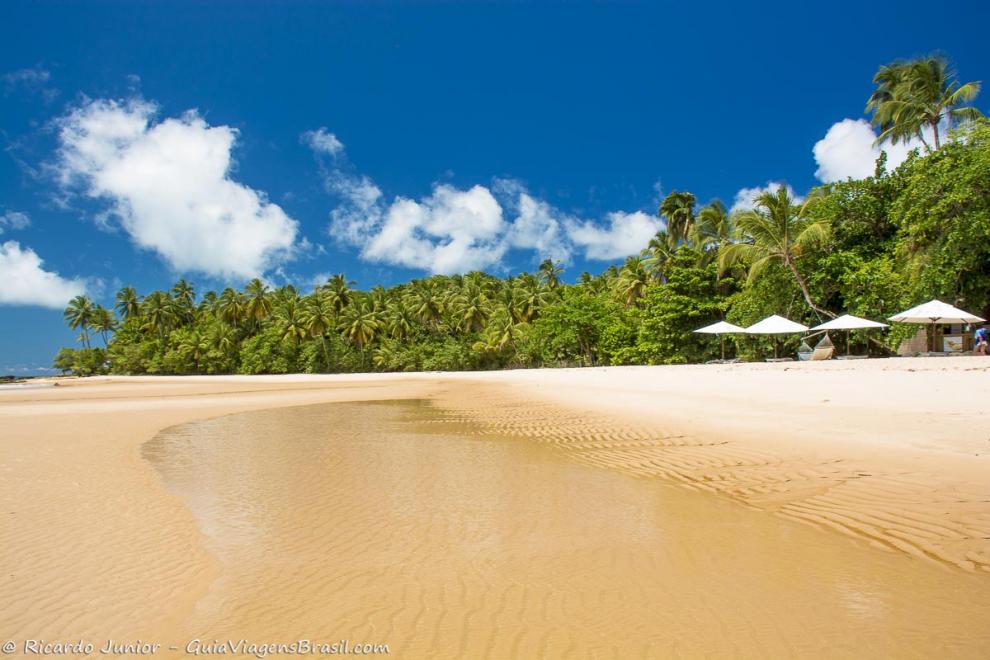 Imagem das águas transparentes da magnífica Praia de Ponta do Mutá.